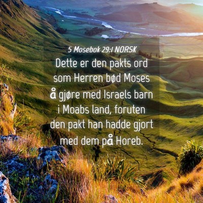 Picture 04 - 5 Mosebok 29:1 NORSK - Dette er den pakts ord som Herren bød Moses å - Bible Verse Picture