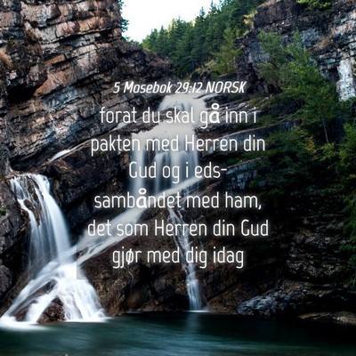 Picture 04 - 5 Mosebok 29:12 NORSK - forat du skal gå inn i pakten med Herren din Gud - Bible Verse Picture