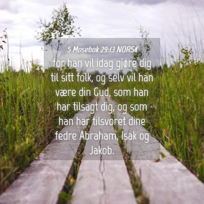 Picture 04 - 5 Mosebok 29:13 NORSK - for han vil idag gjøre dig til sitt folk, og - Bible Verse Picture