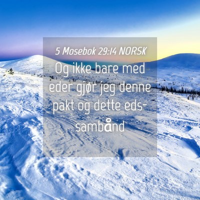 Picture 04 - 5 Mosebok 29:14 NORSK - Og ikke bare med eder gjør jeg denne pakt og - Bible Verse Picture