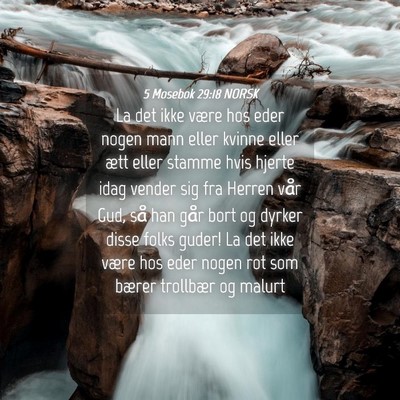 Picture 04 - 5 Mosebok 29:18 NORSK - La det ikke være hos eder nogen mann eller - Bible Verse Picture