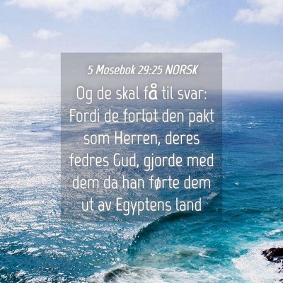 Picture 04 - 5 Mosebok 29:25 NORSK - Og de skal få til svar: Fordi de forlot den pakt - Bible Verse Picture