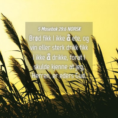 Picture 04 - 5 Mosebok 29:6 NORSK - Brød fikk I ikke å ete, og vin eller sterk - Bible Verse Picture