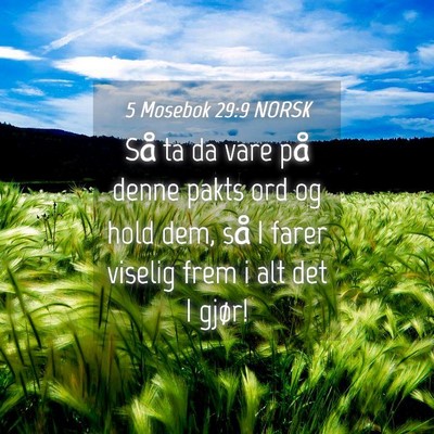 Picture 04 - 5 Mosebok 29:9 NORSK - Så ta da vare på denne pakts ord og hold dem, - Bible Verse Picture