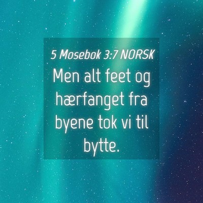 Picture 04 - 5 Mosebok 3:7 NORSK - Men alt feet og hærfanget fra byene tok vi til - Bible Verse Picture