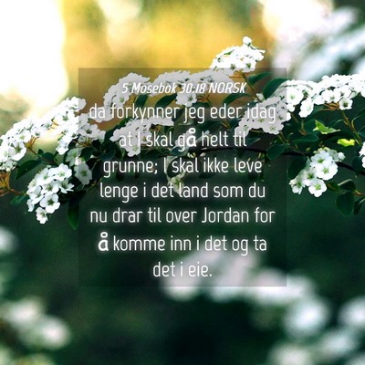 Picture 04 - 5 Mosebok 30:18 NORSK - da forkynner jeg eder idag at I skal gå helt til - Bible Verse Picture