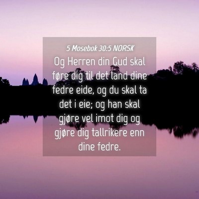 Picture 04 - 5 Mosebok 30:5 NORSK - Og Herren din Gud skal føre dig til det land - Bible Verse Picture