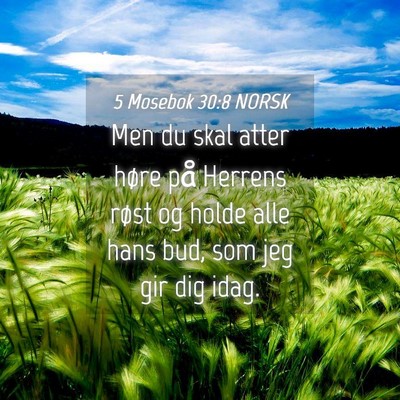 Picture 04 - 5 Mosebok 30:8 NORSK - Men du skal atter høre på Herrens røst og - Bible Verse Picture