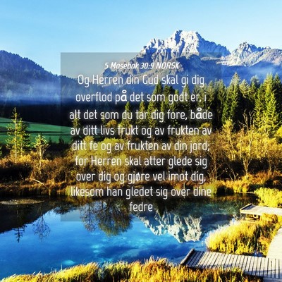 Picture 04 - 5 Mosebok 30:9 NORSK - Og Herren din Gud skal gi dig overflod på det - Bible Verse Picture
