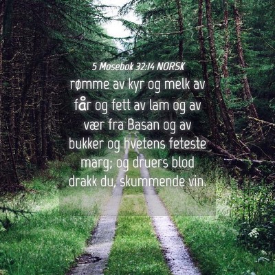 Picture 04 - 5 Mosebok 32:14 NORSK - rømme av kyr og melk av får og fett av lam og - Bible Verse Picture