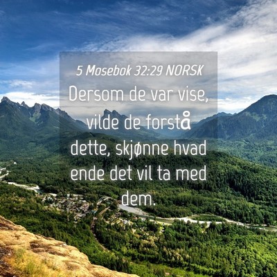 Picture 04 - 5 Mosebok 32:29 NORSK - Dersom de var vise, vilde de forstå dette, - Bible Verse Picture