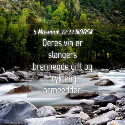 Picture 04 - 5 Mosebok 32:33 NORSK - Deres vin er slangers brennende gift og fryktelig - Bible Verse Picture