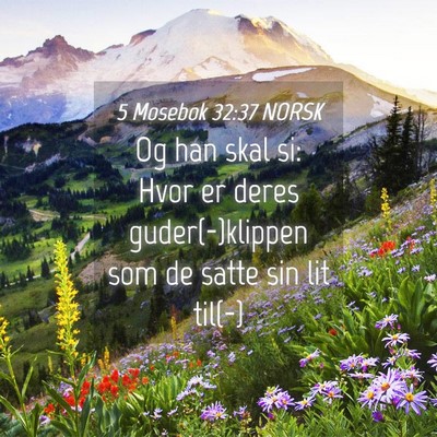 Picture 04 - 5 Mosebok 32:37 NORSK - Og han skal si: Hvor er deres guder(-)klippen som - Bible Verse Picture
