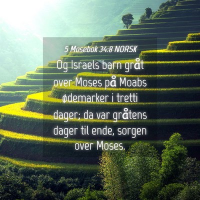 Picture 04 - 5 Mosebok 34:8 NORSK - Og Israels barn gråt over Moses på Moabs - Bible Verse Picture