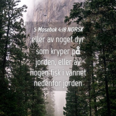 Picture 04 - 5 Mosebok 4:18 NORSK - eller av noget dyr som kryper på jorden, eller - Bible Verse Picture