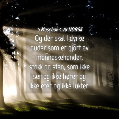 Picture 04 - 5 Mosebok 4:28 NORSK - Og der skal I dyrke guder som er gjort av - Bible Verse Picture