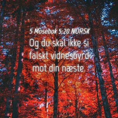 Picture 04 - 5 Mosebok 5:20 NORSK - Og du skal ikke si falskt vidnesbyrd mot din - Bible Verse Picture