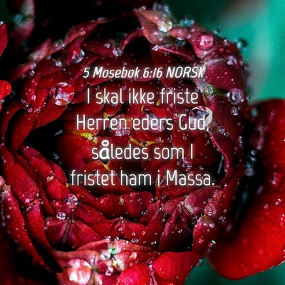 Picture 04 - 5 Mosebok 6:16 NORSK - I skal ikke friste Herren eders Gud, således som - Bible Verse Picture