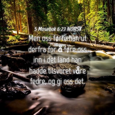 Picture 04 - 5 Mosebok 6:23 NORSK - Men oss førte han ut derfra for å føre oss inn - Bible Verse Picture