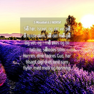 Picture 04 - 5 Mosebok 6:3 NORSK - Så hør, Israel, og akt vel på å holde dem, - Bible Verse Picture