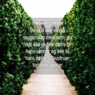 Picture 04 - 5 Mosebok 7:3 NORSK - Du skal ikke inngå svogerskap med dem; du skal - Bible Verse Picture