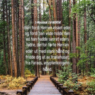 Picture 04 - 5 Mosebok 7:8 NORSK - men fordi Herren elsket eder, og fordi han vilde - Bible Verse Picture