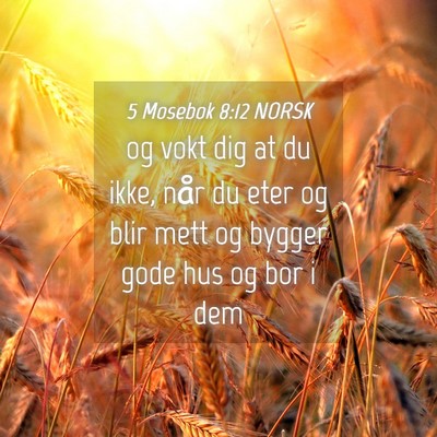 Picture 04 - 5 Mosebok 8:12 NORSK - og vokt dig at du ikke, når du eter og blir mett - Bible Verse Picture
