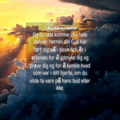 Picture 04 - 5 Mosebok 8:2 NORSK - Og du skal komme i hu hele den vei Herren din Gud - Bible Verse Picture
