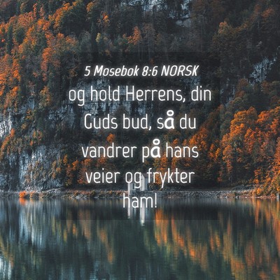 Picture 04 - 5 Mosebok 8:6 NORSK - og hold Herrens, din Guds bud, så du vandrer på - Bible Verse Picture