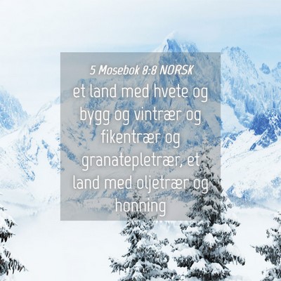 Picture 04 - 5 Mosebok 8:8 NORSK - et land med hvete og bygg og vintrær og - Bible Verse Picture