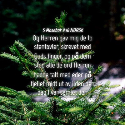 Picture 04 - 5 Mosebok 9:10 NORSK - Og Herren gav mig de to stentavler, skrevet med - Bible Verse Picture