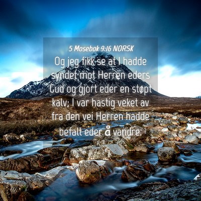 Picture 04 - 5 Mosebok 9:16 NORSK - Og jeg fikk se at I hadde syndet mot Herren eders - Bible Verse Picture