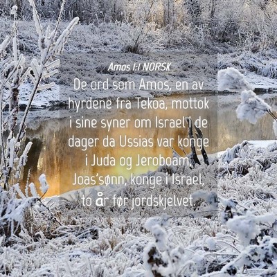 Picture 04 - Amos 1:1 NORSK - De ord som Amos, en av hyrdene fra Tekoa, mottok - Bible Verse Picture