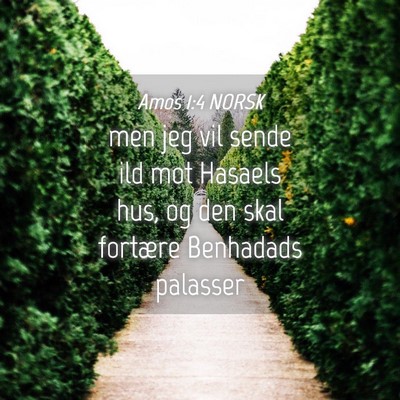 Picture 04 - Amos 1:4 NORSK - men jeg vil sende ild mot Hasaels hus, og den - Bible Verse Picture