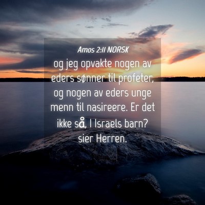 Picture 04 - Amos 2:11 NORSK - og jeg opvakte nogen av eders sønner til - Bible Verse Picture