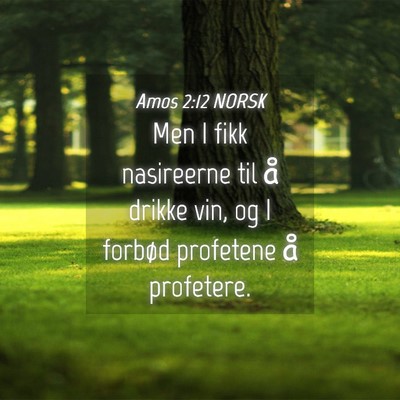 Picture 04 - Amos 2:12 NORSK - Men I fikk nasireerne til å drikke vin, og I - Bible Verse Picture