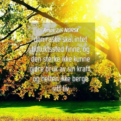 Picture 04 - Amos 2:14 NORSK - den raske skal intet tilfluktssted finne, og den - Bible Verse Picture