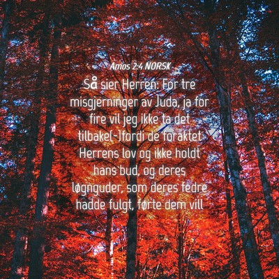 Picture 04 - Amos 2:4 NORSK - Så sier Herren: For tre misgjerninger av Juda, - Bible Verse Picture