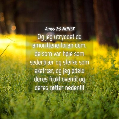 Picture 04 - Amos 2:9 NORSK - Og jeg utryddet da amorittene foran dem, de som - Bible Verse Picture