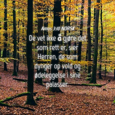 Picture 04 - Amos 3:10 NORSK - De vet ikke å gjøre det som rett er, sier - Bible Verse Picture