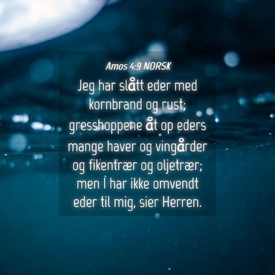 Picture 04 - Amos 4:9 NORSK - Jeg har slått eder med kornbrand og rust; - Bible Verse Picture