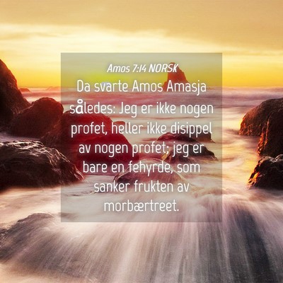 Picture 04 - Amos 7:14 NORSK - Da svarte Amos Amasja således: Jeg er ikke nogen - Bible Verse Picture