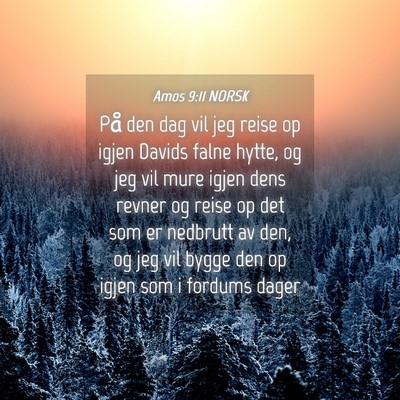 Picture 04 - Amos 9:11 NORSK - På den dag vil jeg reise op igjen Davids falne - Bible Verse Picture