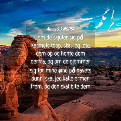 Picture 04 - Amos 9:3 NORSK - om de skjuler sig på Karmels topp, skal jeg lete - Bible Verse Picture