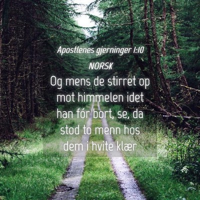 Picture 04 - Apostlenes gjerninger 1:10 NORSK - Og mens de stirret op mot himmelen idet han fór - Bible Verse Picture