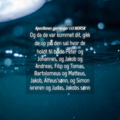 Picture 04 - Apostlenes gjerninger 1:13 NORSK - Og da de var kommet dit, gikk de op på den sal - Bible Verse Picture
