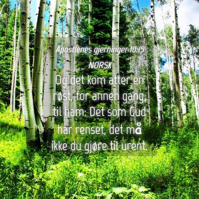 Picture 04 - Apostlenes gjerninger 10:15 NORSK - Og det kom atter en røst, for annen gang, til - Bible Verse Picture
