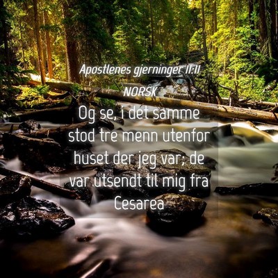Picture 04 - Apostlenes gjerninger 11:11 NORSK - Og se, i det samme stod tre menn utenfor huset - Bible Verse Picture