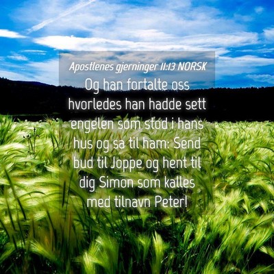 Picture 04 - Apostlenes gjerninger 11:13 NORSK - Og han fortalte oss hvorledes han hadde sett - Bible Verse Picture