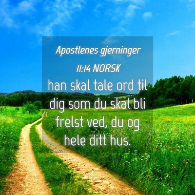 Picture 04 - Apostlenes gjerninger 11:14 NORSK - han skal tale ord til dig som du skal bli frelst - Bible Verse Picture